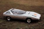 Alfa Romeo Alfasud Caimano Concept 1971 года